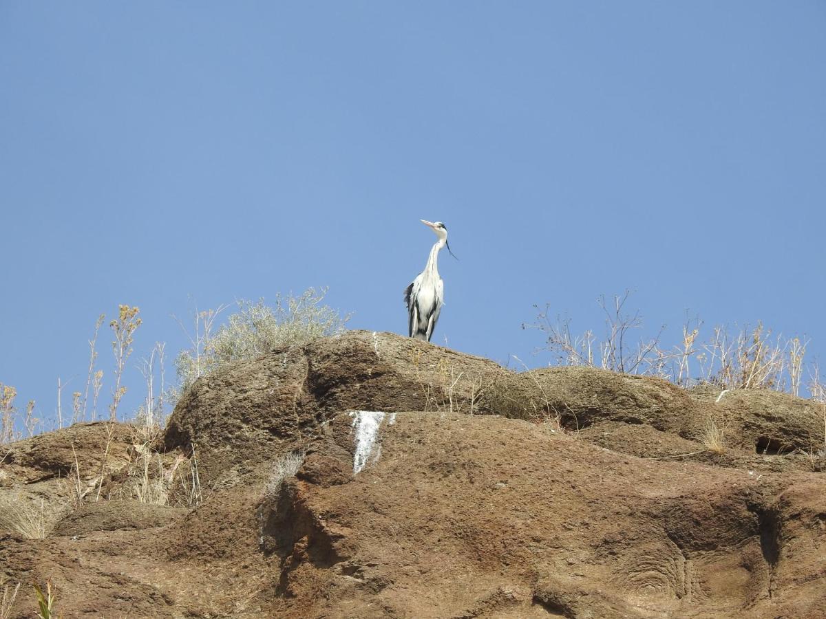 Motebong Lodge Bokong Buitenkant foto