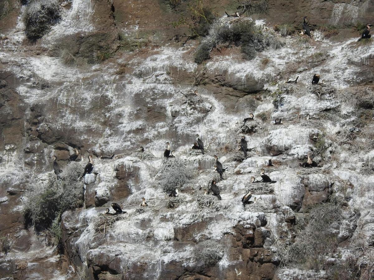 Motebong Lodge Bokong Buitenkant foto